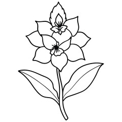 A black and white illustration of stylized flowers with various petal shapes.