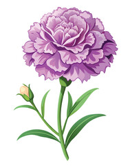 A vibrant purple flower with layered petals, showcasing intricate details and a natural beauty.
