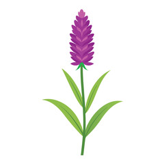 A stylized purple flower with green leaves on a white background.