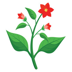 A vibrant illustration of a flowering plant with red blossoms and green leaves.