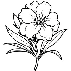 A detailed line drawing of a flower with petals and buds, suitable for coloring or illustration.