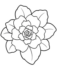 A stylized illustration of blooming flowers with intricate details and smooth lines.