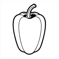 capsicum vector illustration 