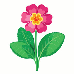 A vibrant pink flower with yellow details and green leaves, ideal for decoration or design.