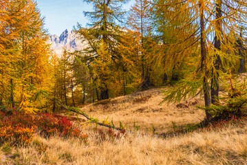  autumnal mountain landscape inside the Alpe Devero, Val D'Ossola, Verbania, Italia