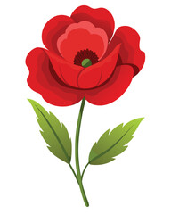 Obraz premium A vibrant red poppy flower illustration with smooth petals and a green stem.