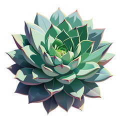 A close-up illustration of a succulent plant with vibrant green leaves and intricate details.