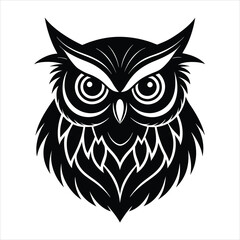 owl on white background