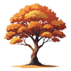 A vibrant autumn tree with orange and yellow foliage against a white background.