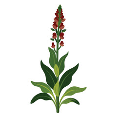A stylized illustration of a red flowering plant with green leaves.