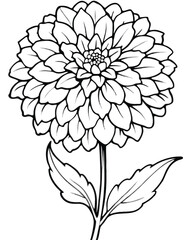 A black and white illustration of a dahlia flower with intricate petal details.