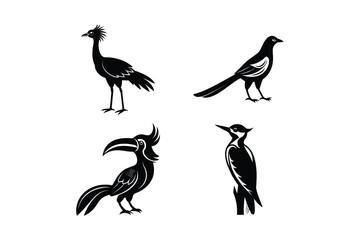 Bird Bundle Vector Collection, Bird Bundle Vector, Bird Bundle Vector for Avian, Wildlife, Nature, Illustration