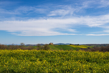 prati fioriti in Toscana