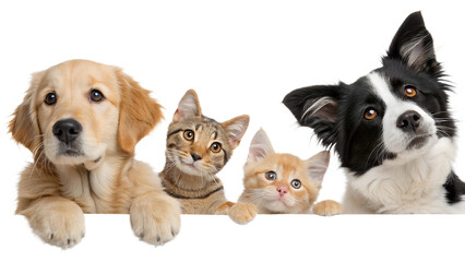 Cute Pets Peeking: Dogs and Cats Portrait Lineup with Curious Expressions – Animal Friends, Pet Photography, Playful Pets