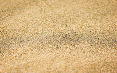 Close up of grains of sand on a beach or in a desert