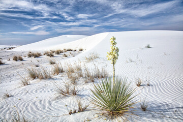 New Mexico's White Sands National Park.