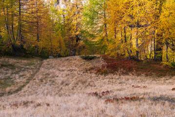  autumnal mountain landscape inside the Alpe Devero, Val D'Ossola, Verbania, Italia