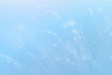 Foggy moody morning mist. The sun shines through the grass in a heathland area. Sunny magical landscape in the rays of the rising sun in the morning.