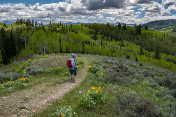 USA, Idaho. Woman hiking on trail in Big Hole Mountains in spring. © Danita Delimont