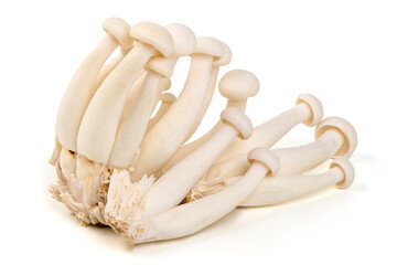 White Beech Mushrooms, Isolated on White Background.
