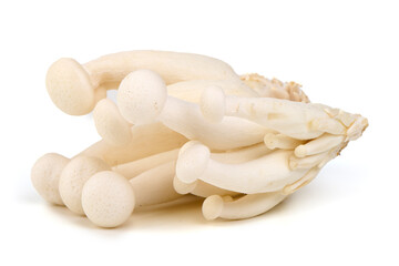 White Beech Mushrooms, Isolated on White Background.