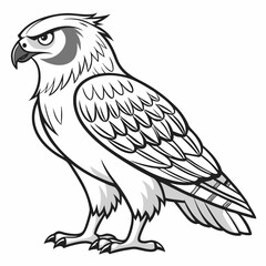 Powerful Grayscale Hawk Vector Illustration: Detailed Feathers.