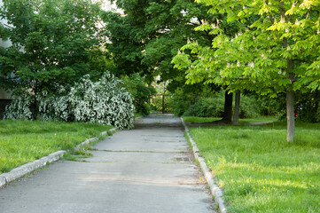 An asphalt road leads off into the distance to a locked gate. Green grass, flowering chestnut trees and bushes line the sides.