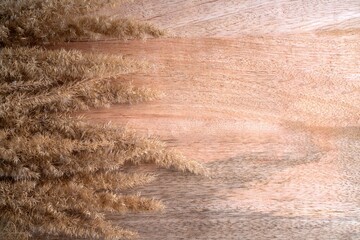 A serene composition of soft, golden dried grass against a textured wooden backdrop, creating a warm and natural aesthetic.