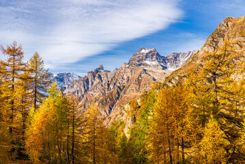  autumnal mountain landscape inside the Alpe Devero, Val D'Ossola, Verbania, Italia