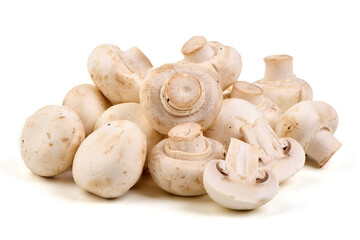 Champignons, close-up, isolated on white background.