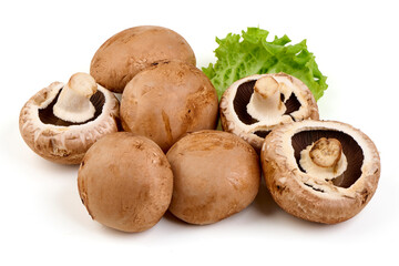Royal brown champignons, isolated on white background.