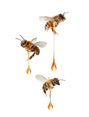Flying bees with drops of liquid honey in the air isolated on a white background