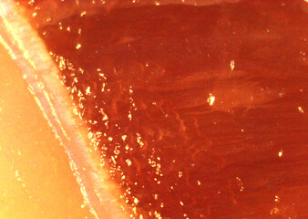 Meat, protein food in detail. Image under the microscope, micro photography. Science, study and...