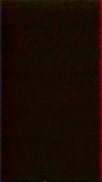 VHS-style glitch effect with dark, grainy noise and horizontal scan lines. There are vertical distortions on both sides, with a noticeable red stripe on the right