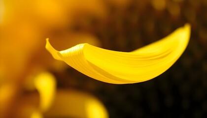 a close up of a yellow flower with a blurry background