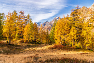 Fototapeta premium autumnal mountain landscape inside the Alpe Devero, Val D'Ossola, Verbania, Italia