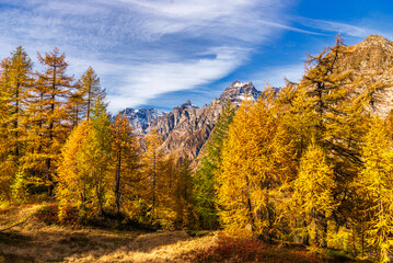Fototapeta premium autumnal mountain landscape inside the Alpe Devero, Val D'Ossola, Verbania, Italia