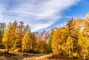  autumnal mountain landscape inside the Alpe Devero, Val D'Ossola, Verbania, Italia