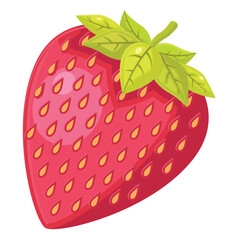 red fresh strawberry illustration