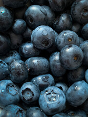 Blueberry close-up