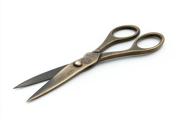 Obraz premium Scissors closed isolated on white background