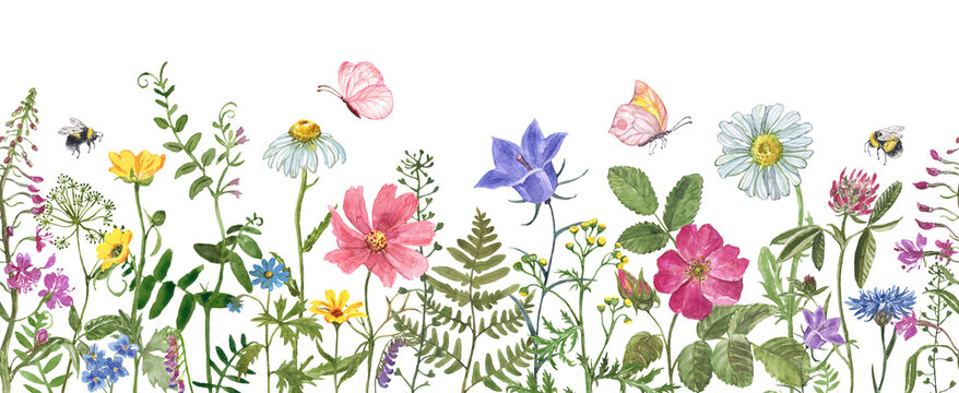 Watercolor floral frame. Horizontal seamless border of hand-painted colorful wildflowers and botanical greenery. Design for invitation. PNG clipart.