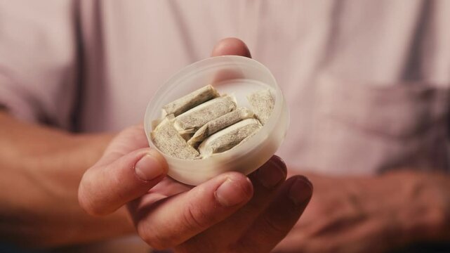 Snus nicotine tobacco close up, pack of tobacco for gum. unhealthy addiction. Man opening box with snus and taking one. 