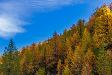  autumnal mountain landscape inside the Alpe Devero, Val D'Ossola, Verbania, Italia