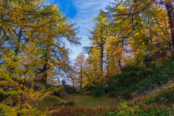  autumnal mountain landscape inside the Alpe Devero, Val D'Ossola, Verbania, Italia