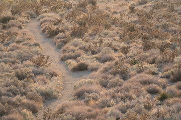 Looking down on the Embudito Canyon Trail from the canyon, Cibola National Forest, Sandia Wilderness, Albuquerque, New Mexico