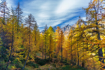 Obraz premium autumnal mountain landscape inside the Alpe Devero, Val D'Ossola, Verbania, Italia