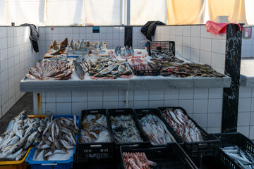Fish market of Tripoli in Libya