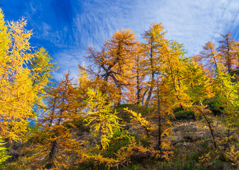  autumnal mountain landscape inside the Alpe Devero, Val D'Ossola, Verbania, Italia