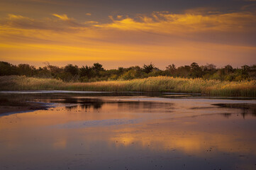 USA, New Jersey, Cape May National Seashore. Sunrise on marsh.